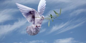 Barış Şiiri – Dr. Hüso