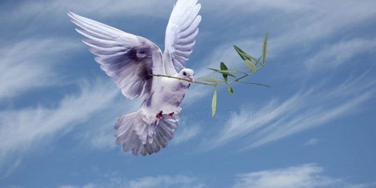 Barış Şiiri – Dr. Hüso